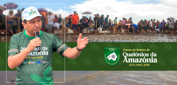 O Município de Afuá dá aula de preservação ambiental: Ilha dos Camaleões sedia soltura simbólica de Quelônios da Amazônia